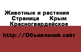  Животные и растения - Страница 6 . Крым,Красногвардейское